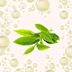 Teebaumöl, naturreines ätherisches Öl